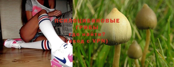 гашик Балахна