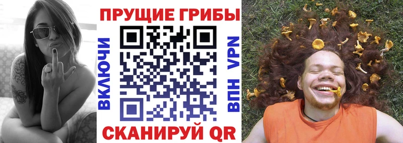 Псилоцибиновые грибы Psilocybe  мега как войти  Гурьевск 